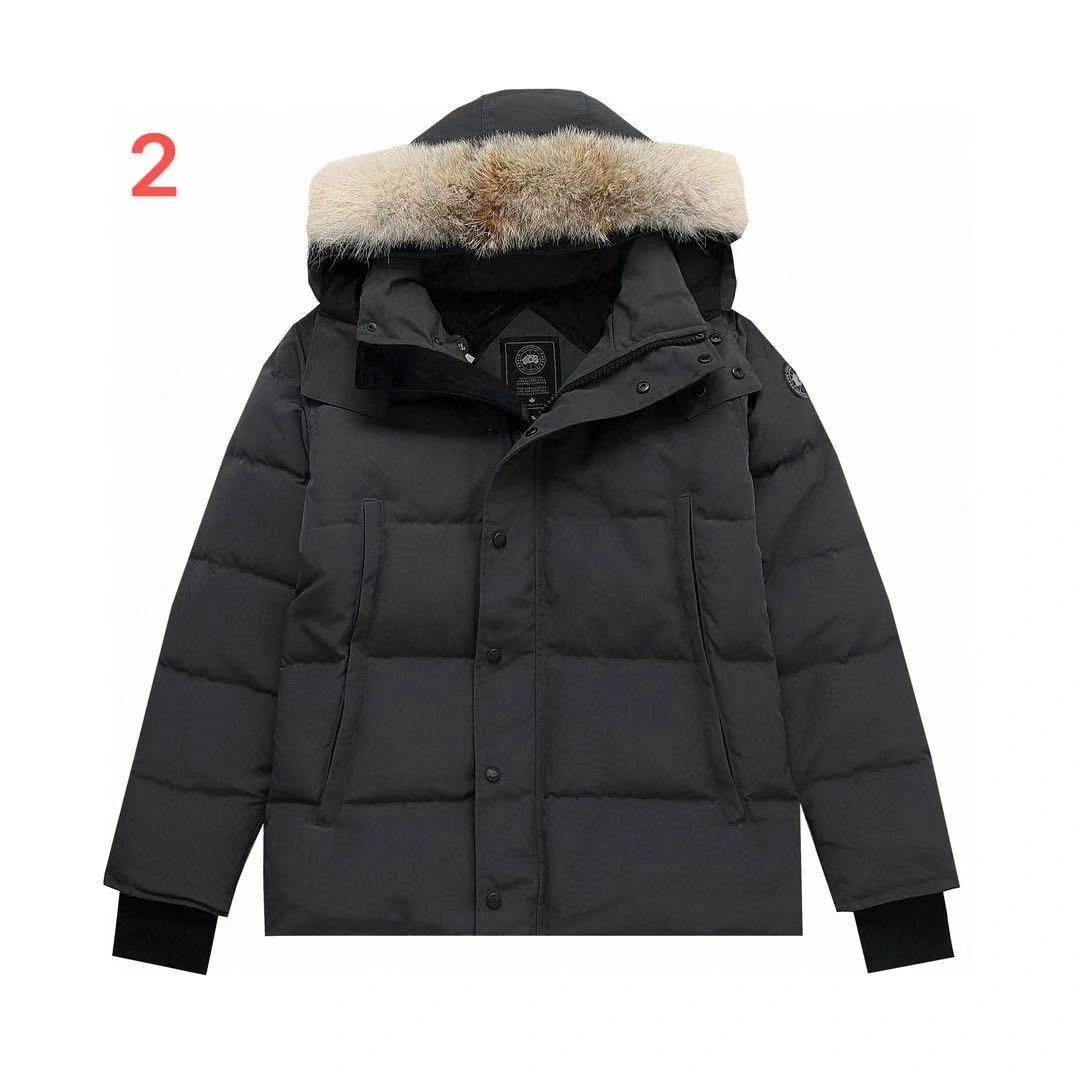 wg.luxury- 6oos5 7Colour item:D-F210J2598H-7